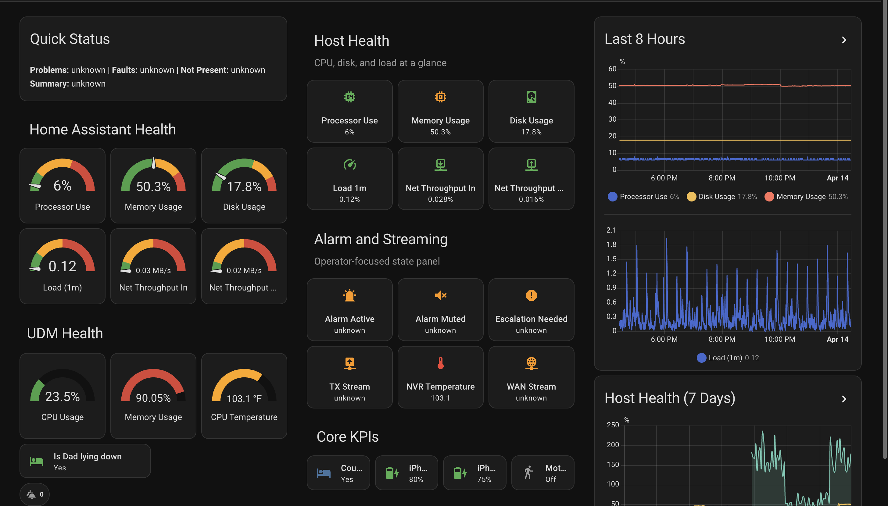Home Assistant health dashboard with host status and metrics graphs